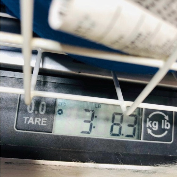 28” Disney Store Retired Giant Holiday Mickey + Winter White Mickey Mouse - Picture 12 of 12